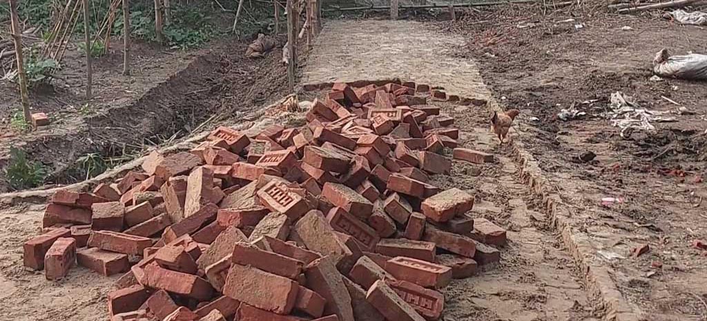 ছবি সংগৃহিত